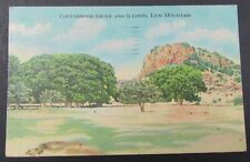 Fort River Texas Cottonwood Grove Sleeping Lion Mountain Vintage Linen Postcard  picture