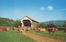 Cambridge VT Vermont, Covered Bridge, E. Gates Farm Cows, Vintage Postcard picture