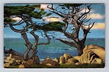 Monterey Peninsula CA-California, Cypress Trees, Antique Vintage c1948 Postcard picture