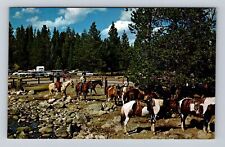 Grand Tetons National Park, Horseback Riding, Vintage Souvenir Postcard picture