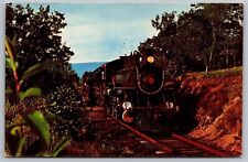 Kempton Pennsylvania Little Maiden Creek Locomotive Crossing Chrome Postcard picture