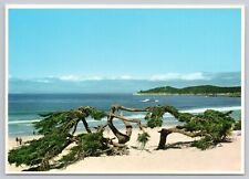 Carmel By The Sea California, Carmel Beach, Vintage Postcard picture