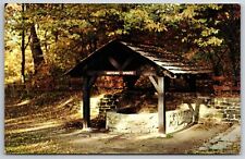 New Philadelphia Ohio~Schoenbrunn Village Historic Spring Photo~Vintage Postcard picture