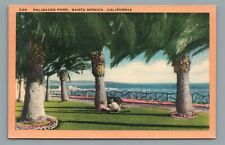 Palisades Park, Santa Monica, California Palm Trees Vintage Linen Postcard picture