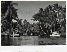 1979 Press Photo Scenic view of New River - lra54277 picture