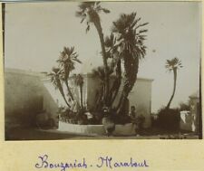 Bouzareaah. Marabout. Algeria. Algeria. Citrate print circa 1902-04. picture