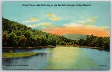 Postcard Scenic View Lake Killarney In The Beautiful Arcadia Valley, MO Unposted picture