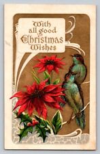 c1910 Beautiful Colorful Birds Poinsettia Embossed Christmas P325 picture