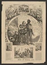 Photo,Andrew Johnson's Reconstruction,African American,Civil Rights,1866 picture