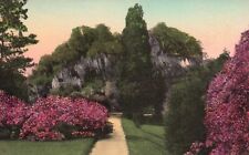 Postcard SC Charleston Middleton Place Gardens Hand Colored Vintage e8126 picture