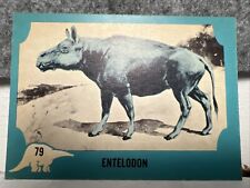 1961 Nu Card Dinosaur Series #79  ENTELODON Card picture