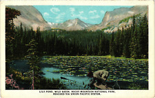 Wild Basin Rocky Mountain Natl Park Union Pacific System Divided Postcard c1910s picture
