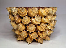 Conch Shell Encrusted Pottery Planter Seashells Flower Pot Rare 1960s Vintage picture