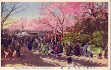 TOKYO, JAPAN. CHERRY BLOSSOM VIEW AT ASAKUSA PARK picture
