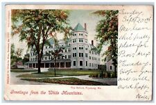 1903 Greetings From The White Mountains The Oxford View Fryeburg ME Postcard picture