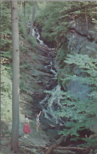 c1960-70s Postcard New Hampshire, Chesterfield Gorge Monadnock NH UNP 4939.4 picture