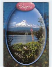 Postcard Mt. Hood and Trillium Lake Oregon USA picture