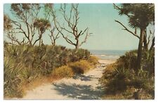 Vintage Coastal Scene Beaufort County SC Postcard Unposted Chrome picture