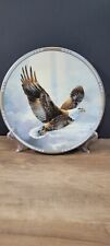 Rise Above the Storm Mario Fernandez 1988 collectors plate The Fountainhead Corp picture