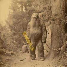 1800s Bigfoot- Vintage Reprint photo No 45894A picture
