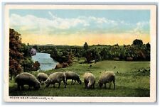 c1920 Scene Near Long Lake New York Sheep Animals River Vintage Antique Postcard picture