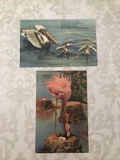 Set Of 2 Antique Florida Postcards picture