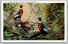 Chinese Pheasants Oregons Famous Game Birds OR WB Postcard UNP VTG Unused picture