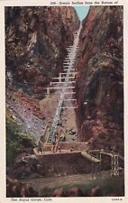 Incline Royal Gorge Colorado CO 1953 Estes Park Postcard B02 picture