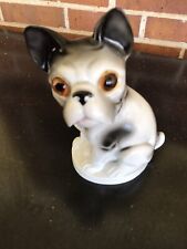 French Porcelain Bulldog picture