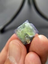 7.3g Exquisite natural greenish-violet bicolor fluorite and pyrite - Yaogangxian picture