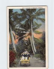 Postcard Solid Comfort in Tropical Florida USA picture