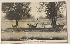 Vintage RPPC Postcard, Northwoods Deer, Greetings from Atlanta, Michigan picture