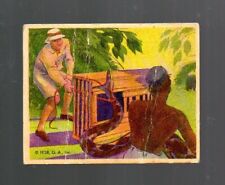 1938 Frank Buck Card # 10 - Gumakers of America picture