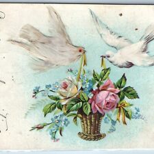 c1910s Novelty Real White Feather Doves Hauling Flower Vase Birds Cute PC A243 picture