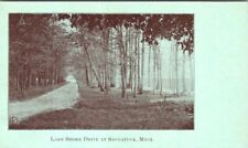 1904, Lake Shore Drive at SAUGATUCK, Michigan Postcard picture