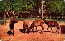 1911, Deer Park, Belle Isle, DETROIT, Michigan Postcard picture