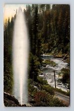 Shasta Springs CA-California, Fountain at Shasta Springs, Vintage Postcard picture