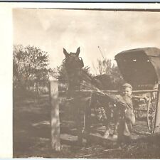 c1910s Cute Little Boy Feeds Horse RPPC Drawn Carriage Adorable Real Photo A171 picture