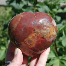 1.2lb 3.7in XL Petrified Wood Crystal Heart Shaped Palm Stone, Madagascar picture