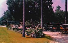 Postcard FL Old Town Florida Suwannee River Jungle Drive Chrome Vintage PC f5279 picture