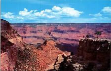 Grand Canyon National Park Arizona AZ Postcard VTG UNP Fred Harvey Vintage picture