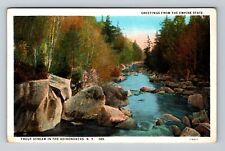 Adirondacks NY-New York, Trout Stream, Antique, Vintage c1929 Postcard picture