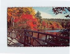 Postcard Autumn Colors Lake Chocorua New Hampshire USA picture