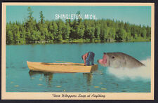 Michigan-Shingleton-Humor-Large Fish-Whoppers Snap at Anything-Vintage Postcard picture