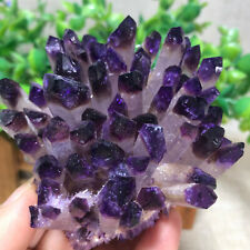 1pcs 300g+ Natural Crystal electroplate Purple Cluster Quartz Specimen Reiki  picture