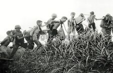 Vietnam War Photo American soldiers lead away captured Vietcong fighters 2959 picture