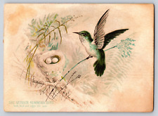 Victorian Trade Card c1890 The Vervain Humming Bird Vintage Advertising Antique picture