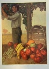 1908 Vintage Magazine Illustration Nature's Wealth by Emil Hering picture