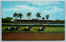 Thrilling Horse Race Hialeah Race Track Miami Florida FL Chrome Postcard 1959 picture