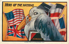 Postcard Hero of the Nations Stork W/ Mortor Board Flags Address Book picture